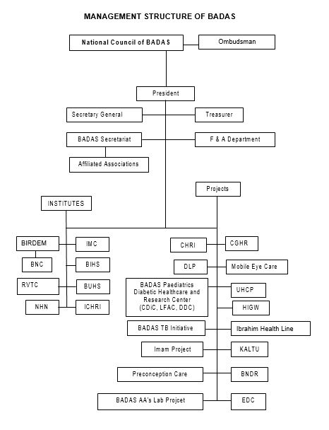 Management Structure of BADAS